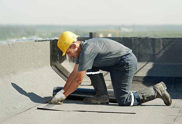 Types of Insulation We Offer in Livermore, CA