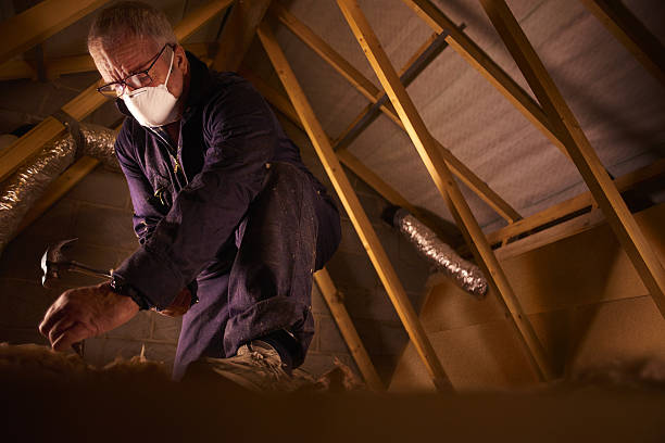 Best Eco-Friendly Insulation in Livermore, CA